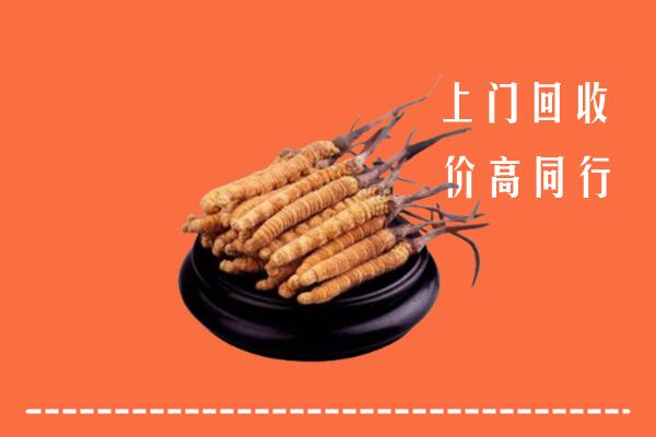 高价求购：绍兴市回收散虫草